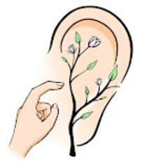 自宅で行える安全な耳ツボ自己療法