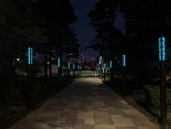 중구, 손기정·서소문공원 폭염저감시설 확충…쿨링포그 9곳 운영