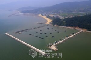 보성군, 어촌뉴딜300 공모사업 2개소 225억 원 확보