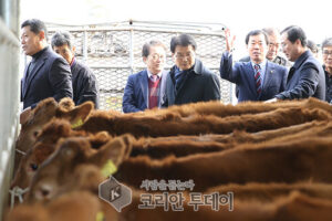 전남도, 전국 최초 한우 송아지브랜드 출범