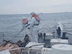 보령 장고도 인근해상 좌초 예인선 방제작업 진행