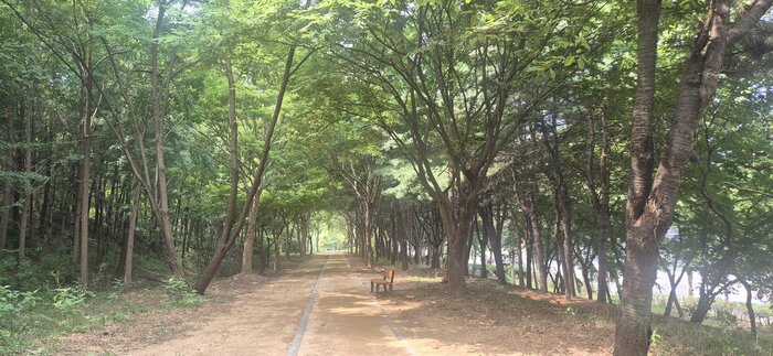 남동구, 남동산단 논현1녹지에 '맨발 산책로' 조성 (사진 제공: 남동구청)