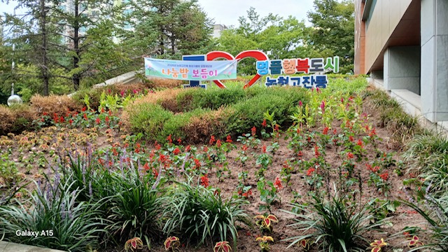 논현고잔동 통장자율회, 가을 초화 식재로 아름다운 마을 조성 (사진 제공: 남동구청)