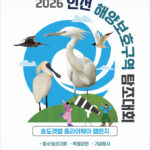 인천시, 송도갯벌 철새 탐조대회 개최…9월 1일 참가자 모집