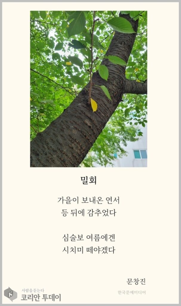 [Selected Digital Poetry Collection-11] An Autumn Love Letter Secretly Received by Summer