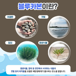 인천시, 해양수산자원 활용 ‘블루카본’ 확보 본격화 (사진 제공: 농수산식품국 기자간담회)