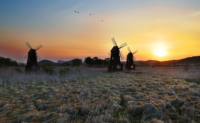 Namdong-gu Promotes Sorae Wetland Ecological Park, Where Ecology and History Meet (사진 제공: 남동구청)
